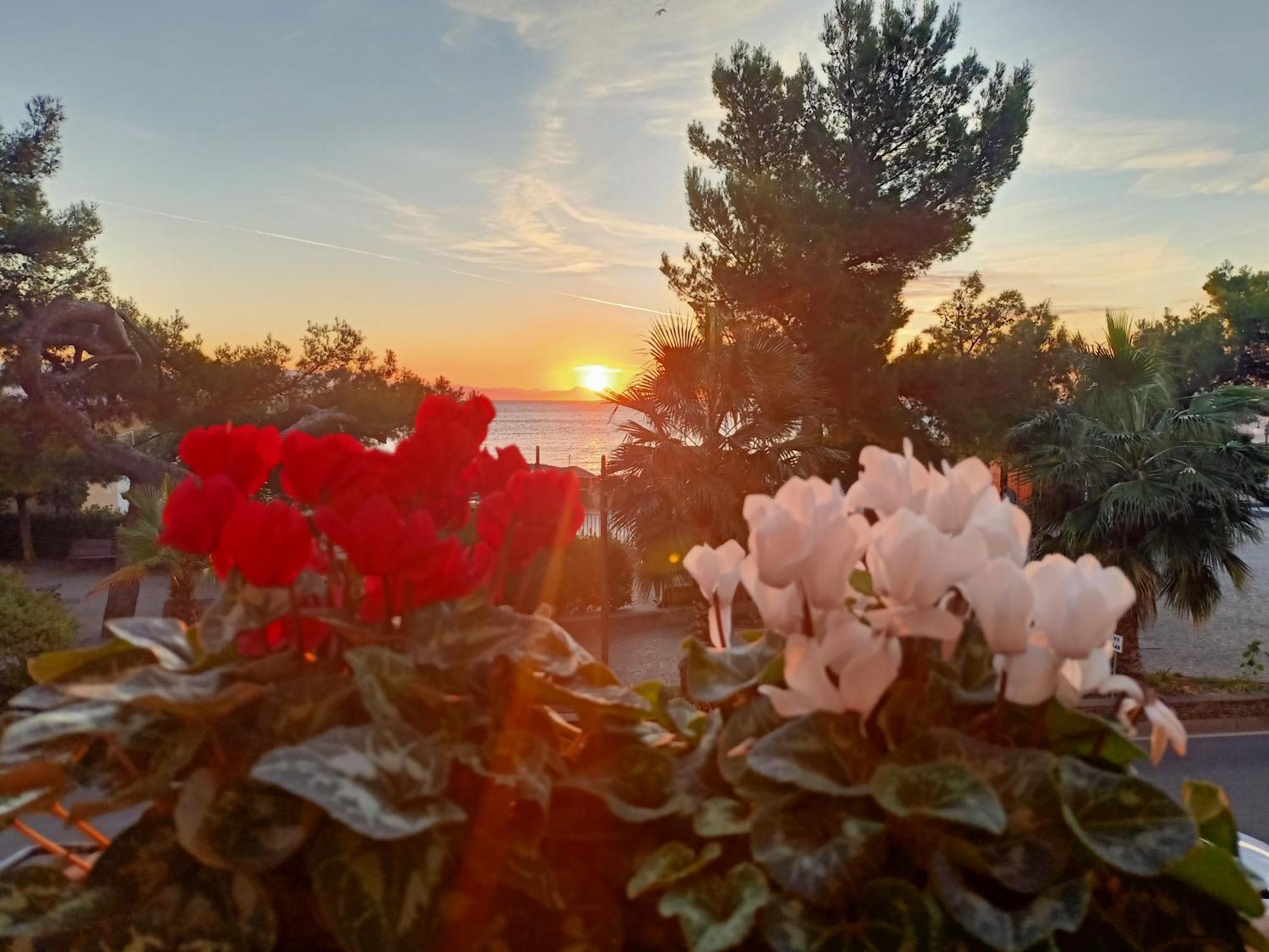 Hotel Serena Arenzano Bagian luar foto