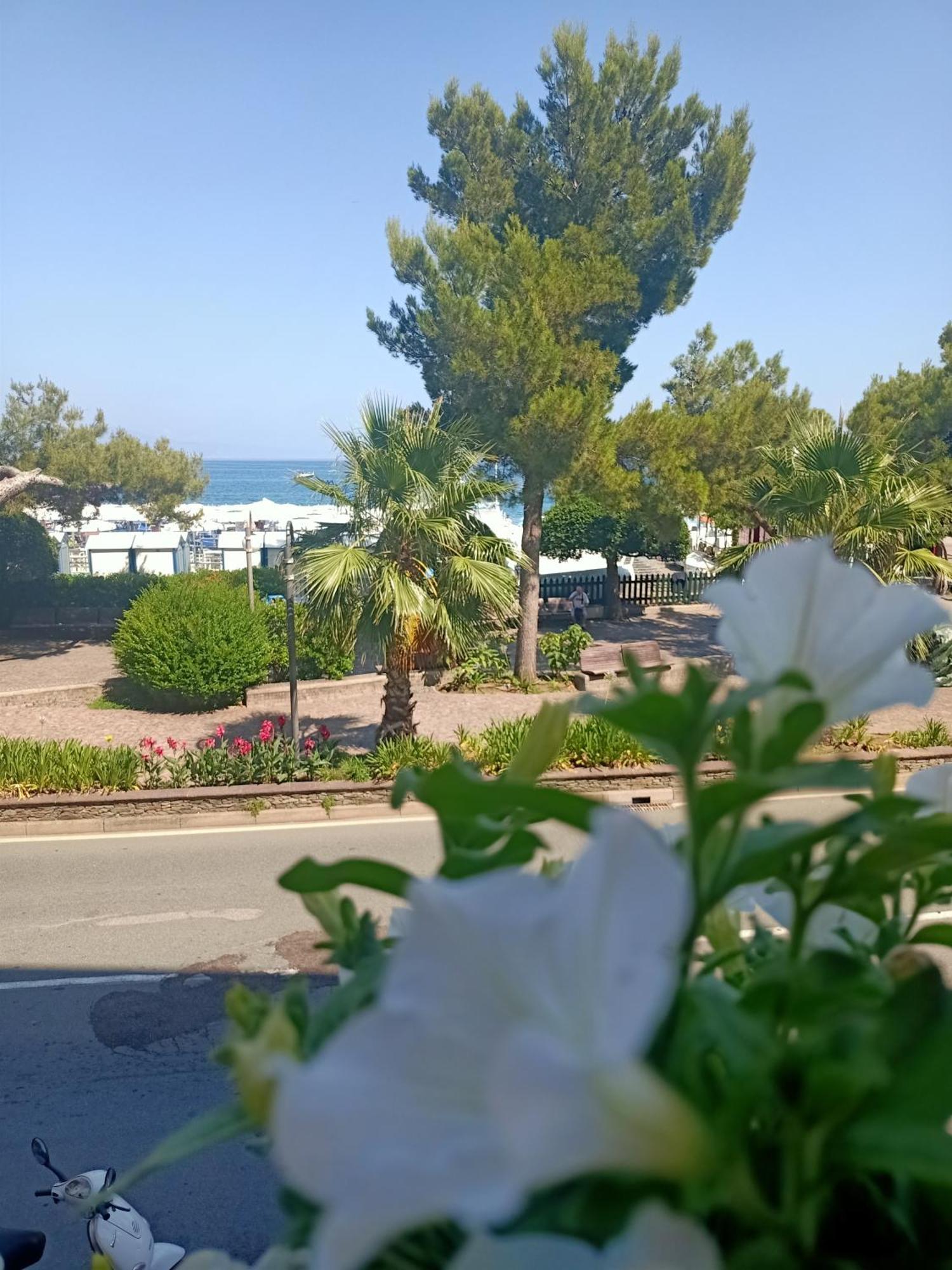 Hotel Serena Arenzano Bagian luar foto